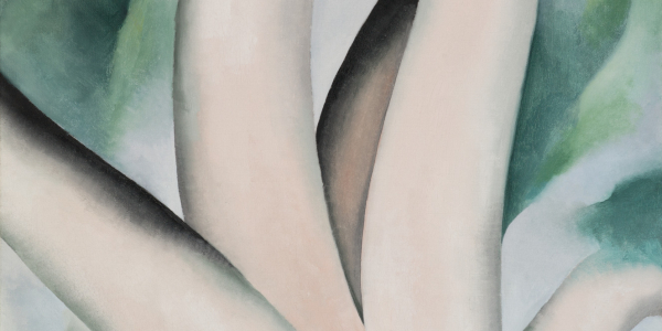 A painting titled Birch Trees at Dawn on Lake George by Georgia O'Keeffe
